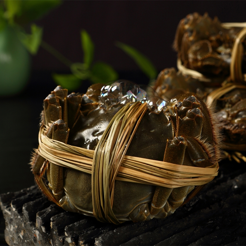 【湖州湖蟹】 基地直发顺丰包邮 3.3-3.7两母蟹8只装 两山特惠价338元