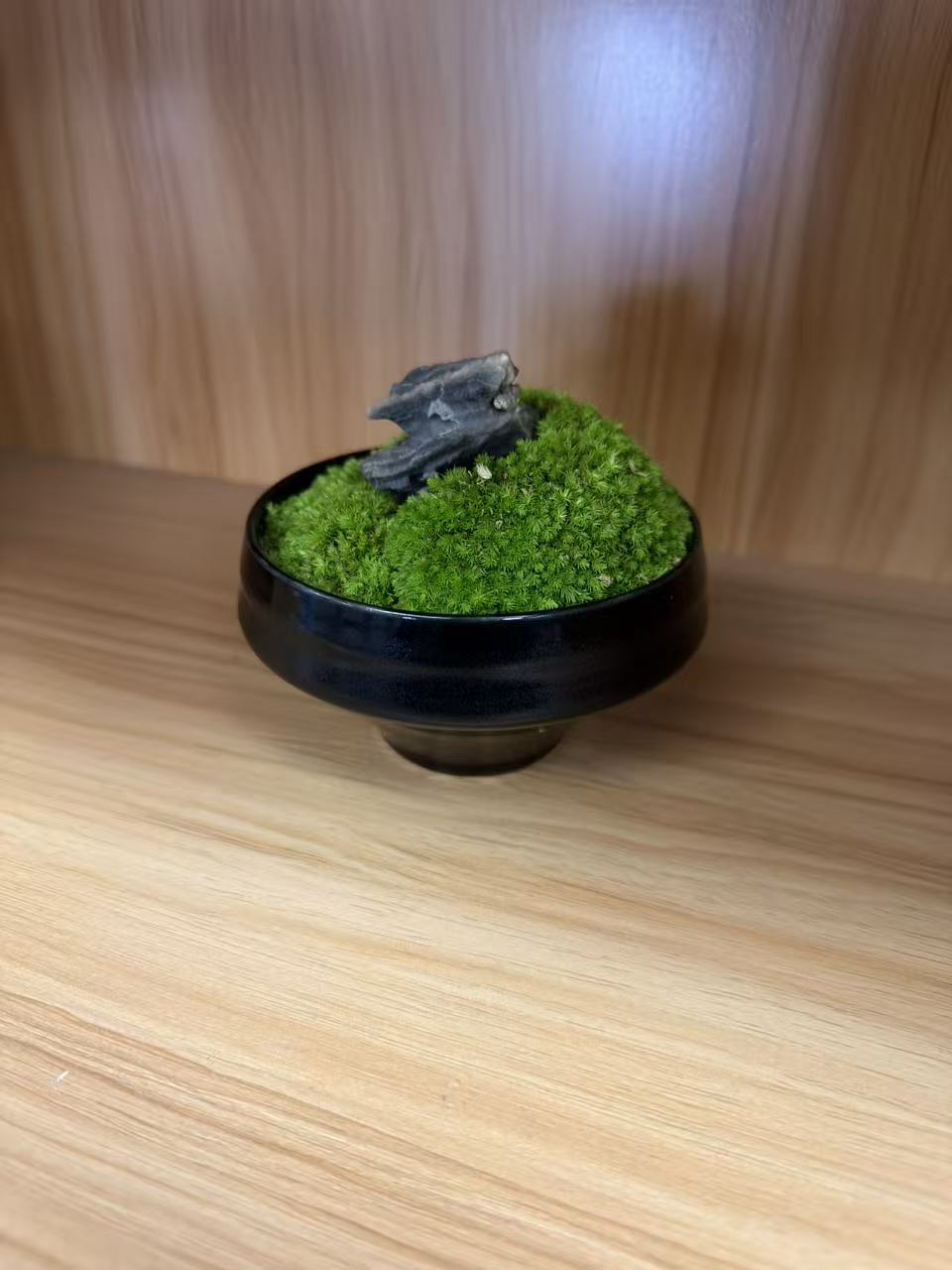 黑釉盏永生盆栽